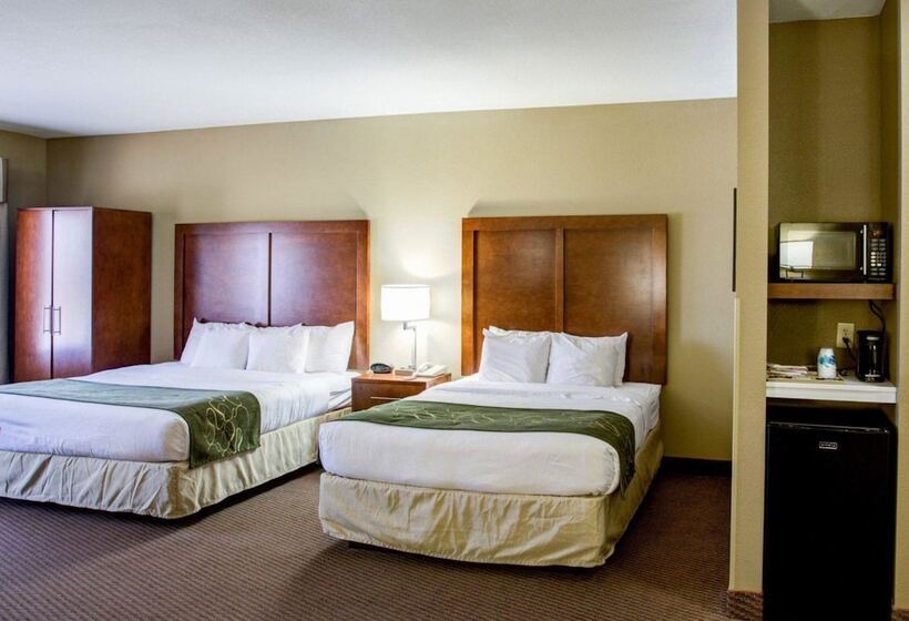 ホテル Comfort Suites