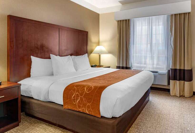 ホテル Comfort Suites Linn County Fairground And Expo