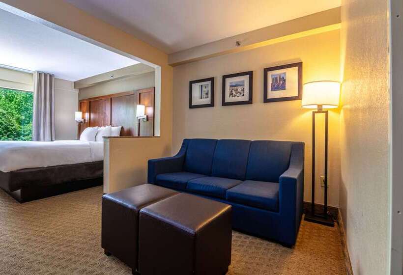 酒店 Comfort Suites Morrow Atlanta South
