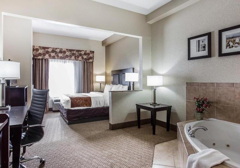 酒店 Comfort Suites Morrow Atlanta South