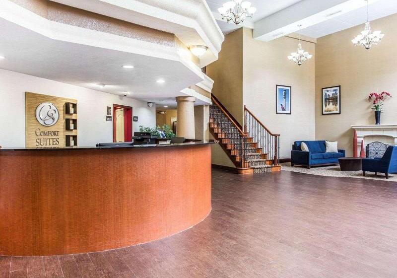 酒店 Comfort Suites Morrow Atlanta South