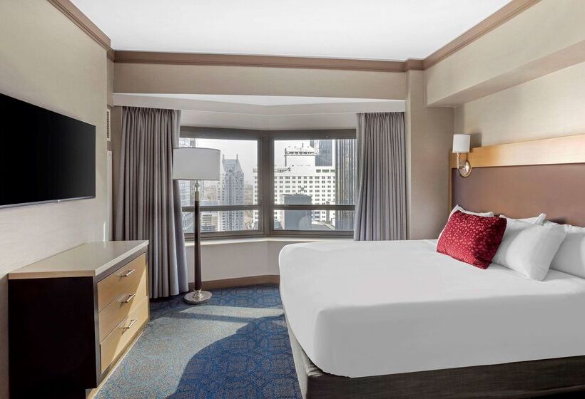 酒店 The Hilton Club New York