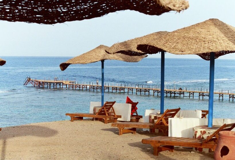 Hotel Jaz Neo Reef Marsa