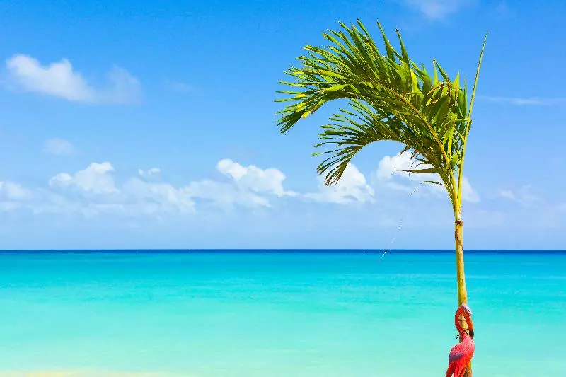 호텔 Kaz Kreol Beach Lodge & Wellness Retreat