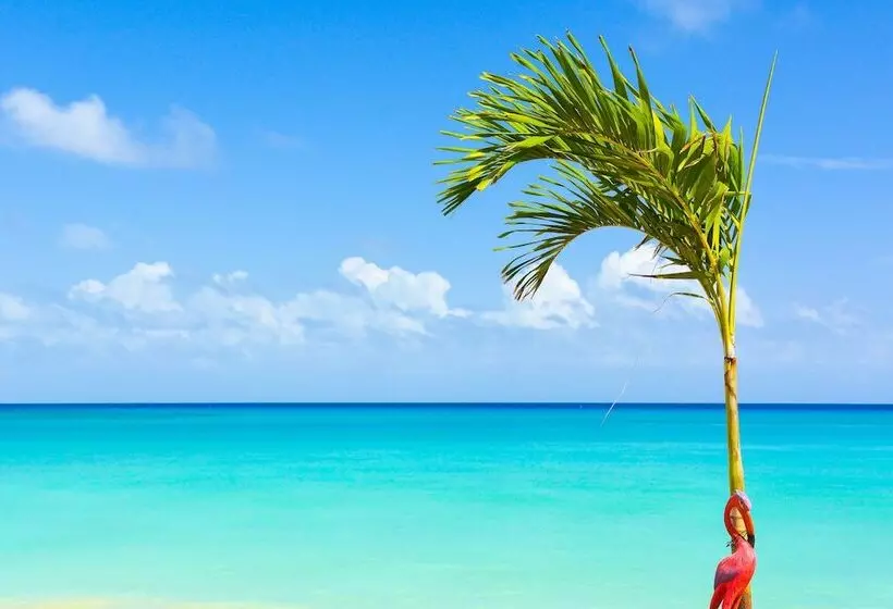 호텔 Kaz Kreol Beach Lodge & Wellness Retreat