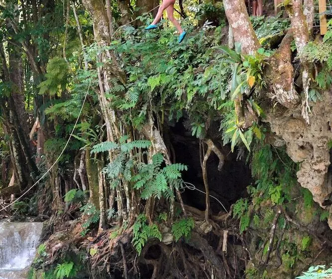 호텔 Kaz Kreol Beach Lodge & Wellness Retreat