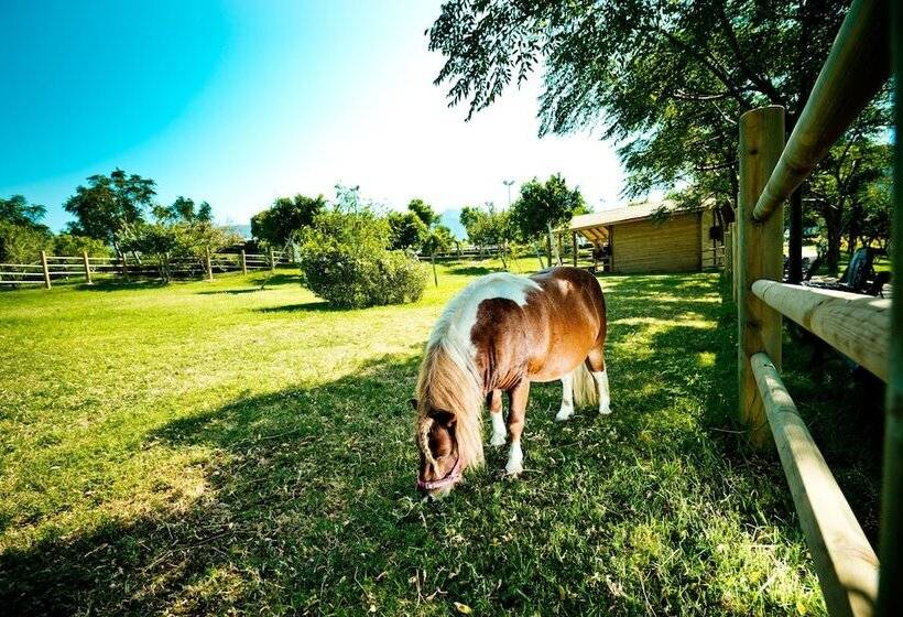 Merit Park Hotel Casino & Spa