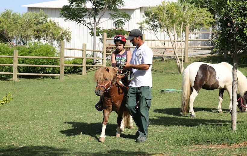 Merit Park Hotel Casino & Spa