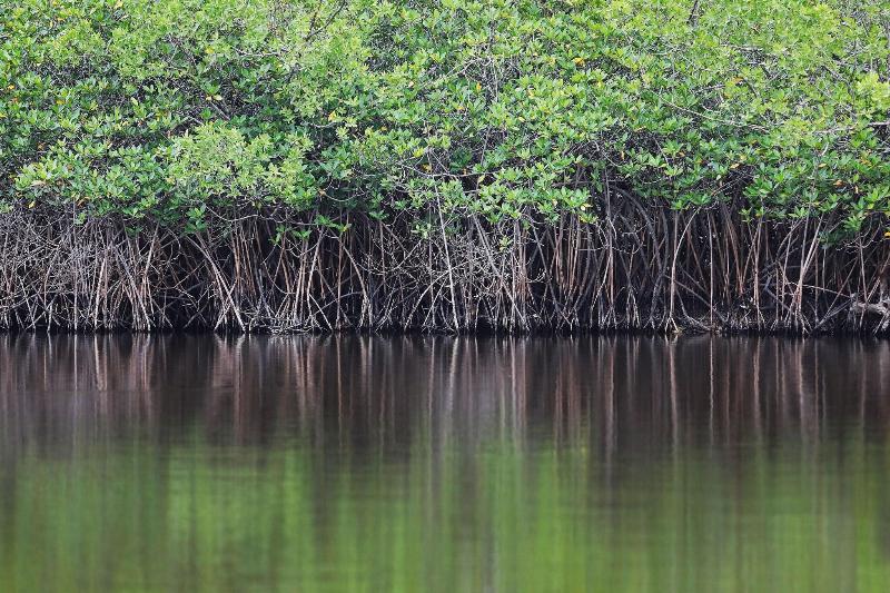 Отель Reserva Conchal