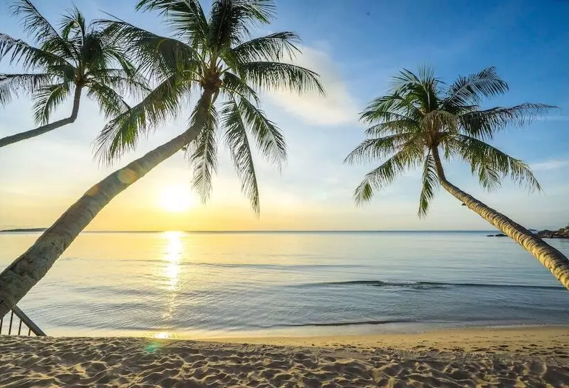 호텔 Samui Paradise Chaweng Beach Resort , Sha Plus