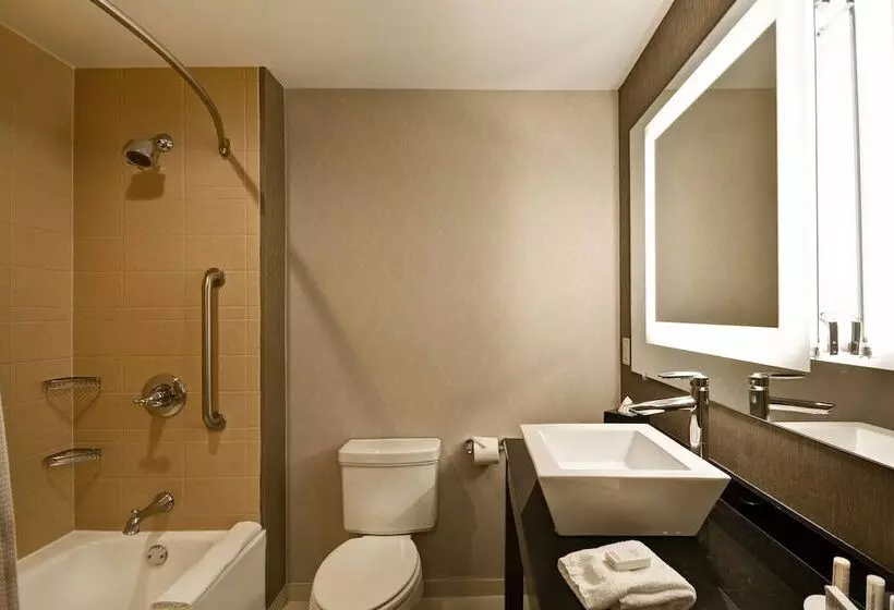 ホテル Springhill Suites By Marriott Indianapolis Airport/plainfield