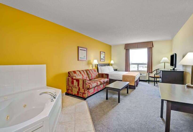 Отель Super 8 By Wyndham Barrie South