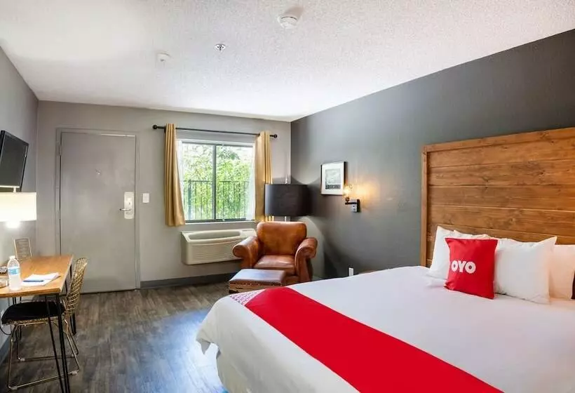 בית מלון כפרי The Infusion Beach Club