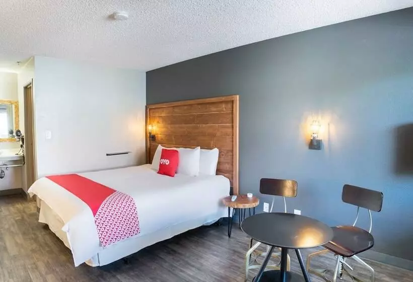 בית מלון כפרי The Infusion Beach Club