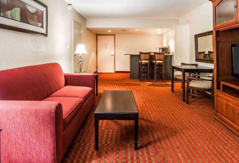 هتل Wingate By Wyndham Marietta Conference Center