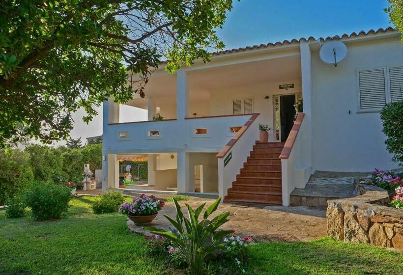 B&b La Quercia Budoni, Tanaunella