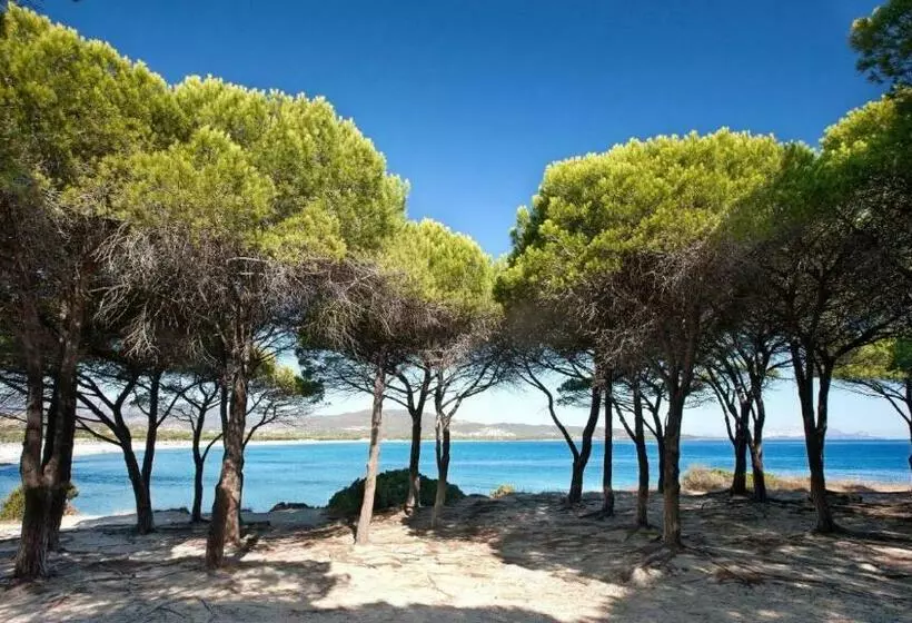 B&b La Quercia Budoni, Tanaunella