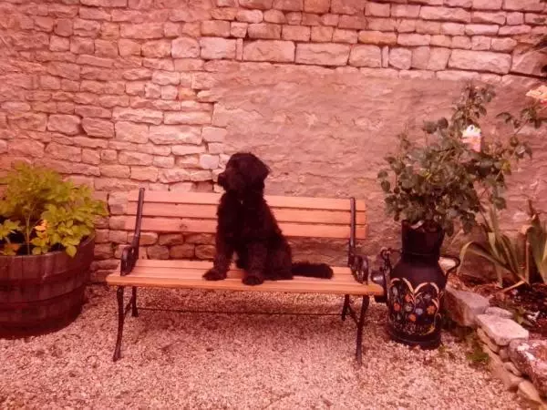 Bed And Breakfast Dunroamin