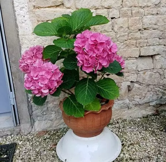 Bed And Breakfast Dunroamin