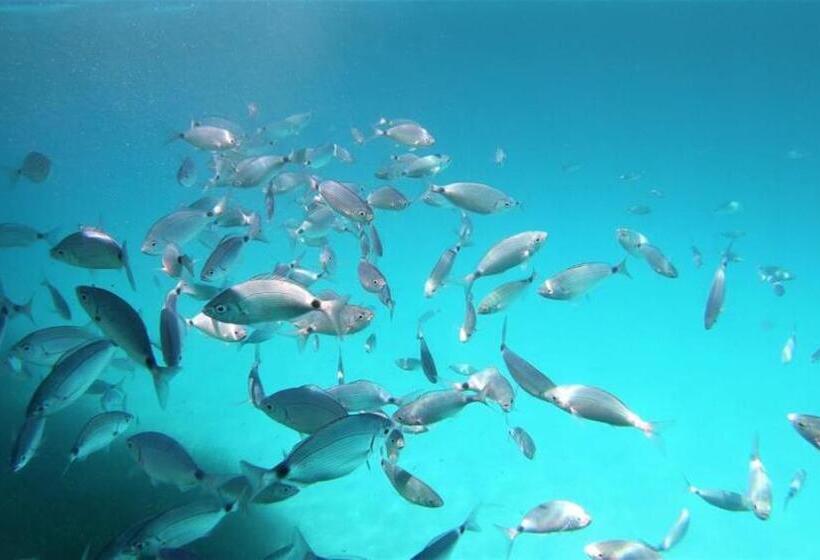 בית מלון כפרי Agriturismo L Aglientu B&b