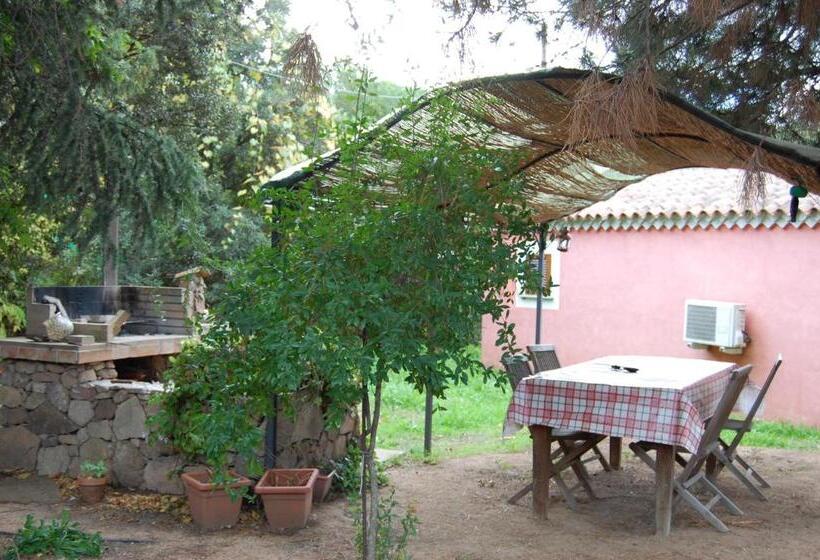 בית מלון כפרי Agriturismo L Aglientu B&b