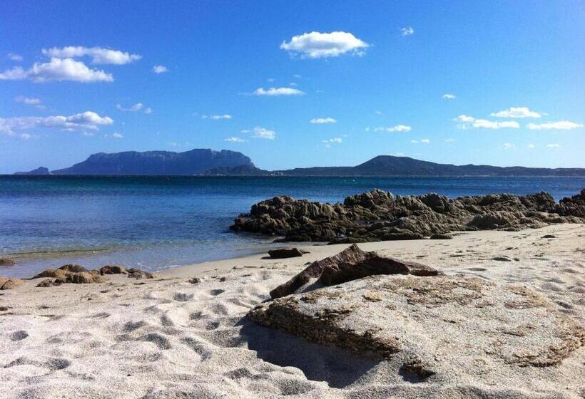 בית מלון כפרי Agriturismo L Aglientu B&b