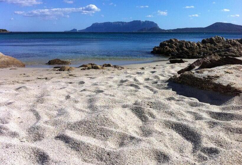 בית מלון כפרי Agriturismo L Aglientu B&b