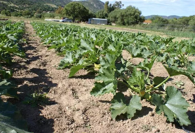 هتل Agriturismo L Aglientu B&b