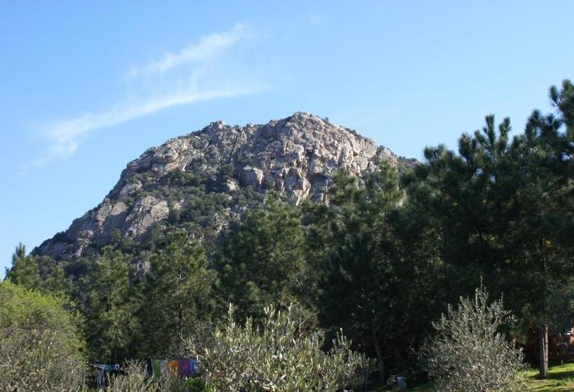 בית מלון כפרי Agriturismo L Aglientu B&b