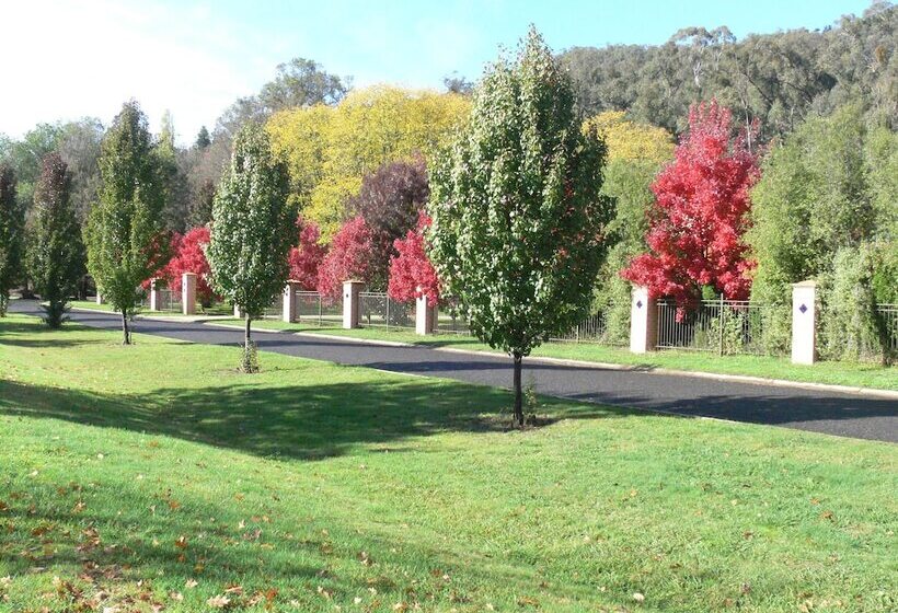 فندق على الطريق Bright On Track