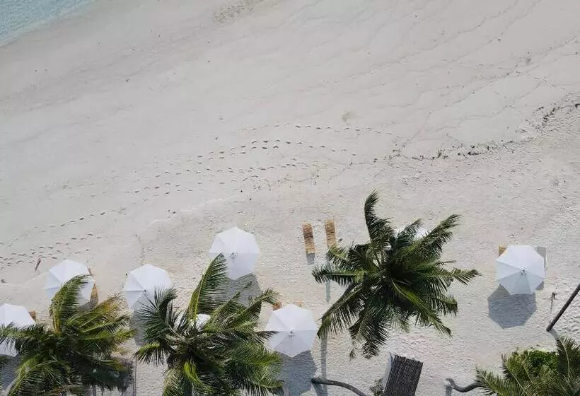 پانسیون Met House