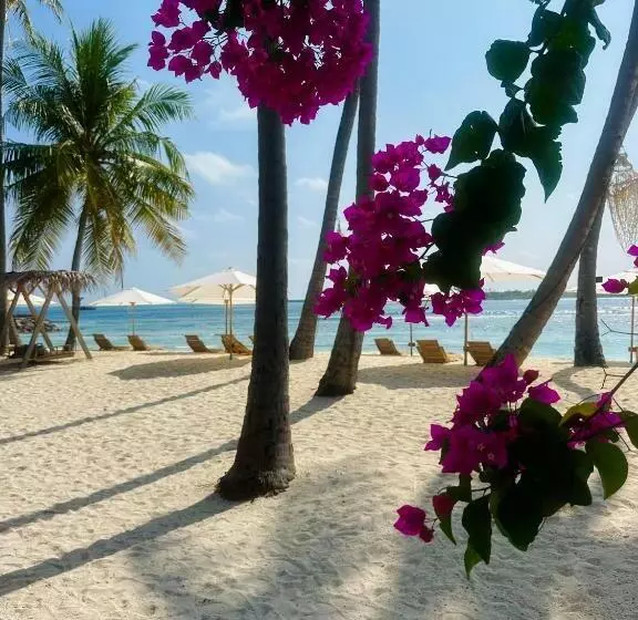 پانسیون Met House