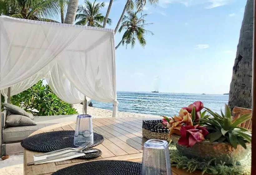 پانسیون Met House