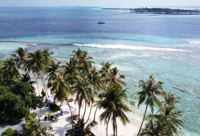 پانسیون Met House