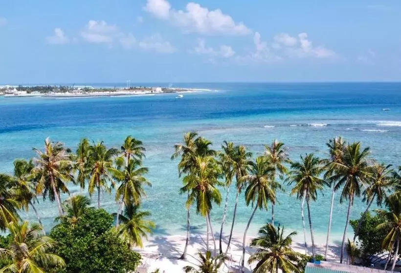 پانسیون Met House