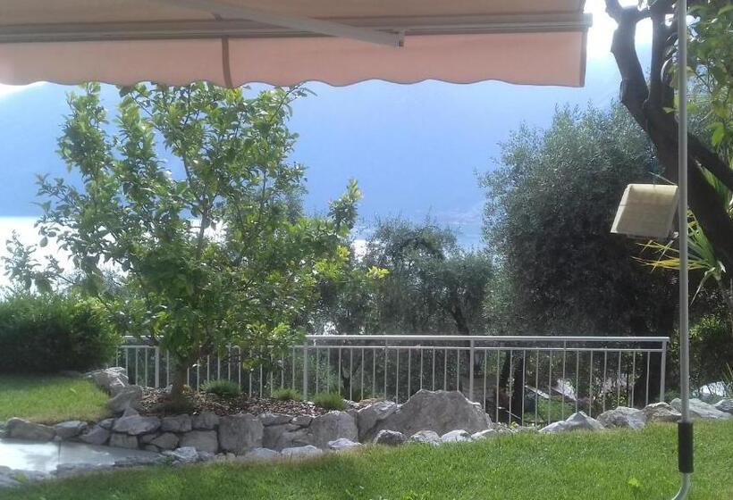 تختخواب و صبحانه Oliveto