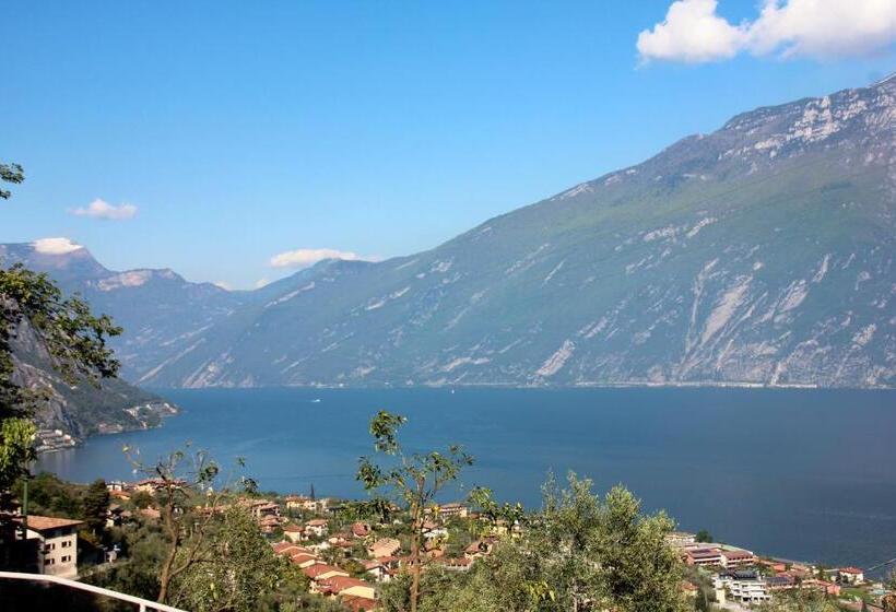 تختخواب و صبحانه Oliveto