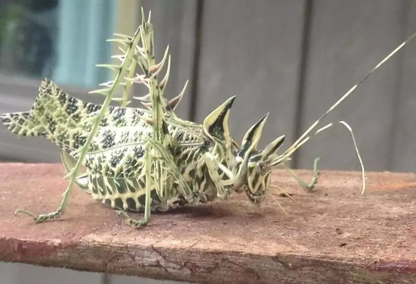 Aamiaismajoitus (B&B) The Lodge At Reventazon River Mountain Ranch