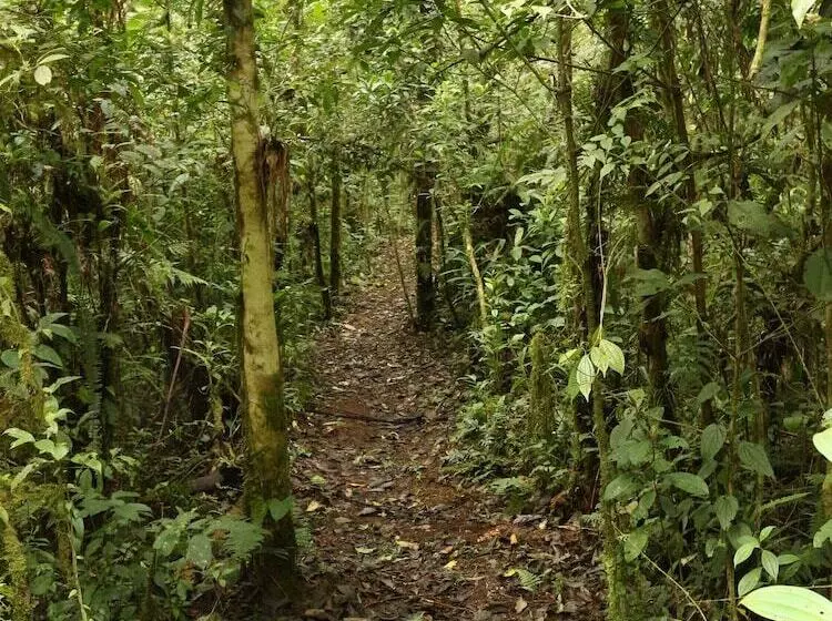 Aamiaismajoitus (B&B) The Lodge At Reventazon River Mountain Ranch