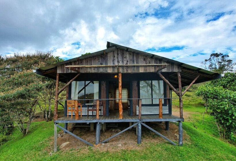 مبيت وإفطار The Lodge At Reventazon River Mountain Ranch