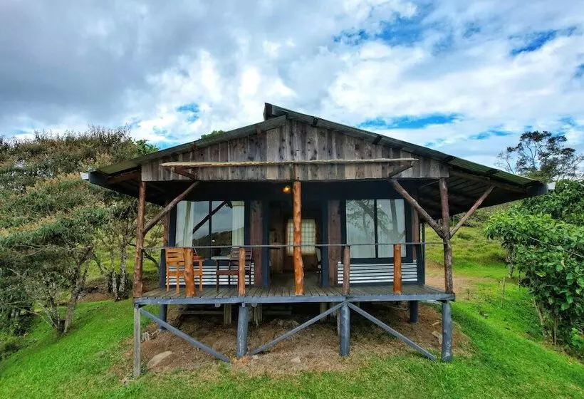 Aamiaismajoitus (B&B) The Lodge At Reventazon River Mountain Ranch