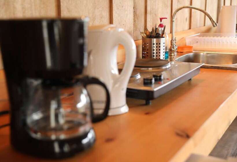 مبيت وإفطار The Lodge At Reventazon River Mountain Ranch