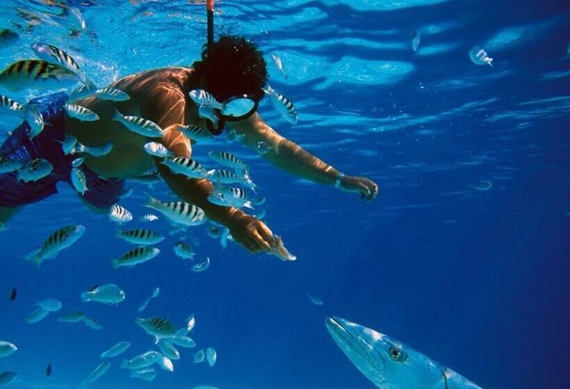 Szálloda Casa Punta Coco & Beach Club