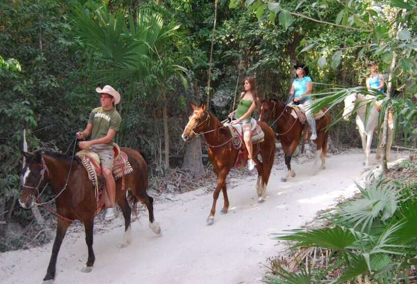 Szálloda Casa Punta Coco & Beach Club