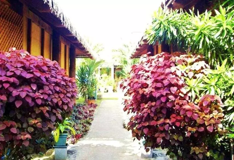 هتل Muri Beach Hideaway   Adults Only