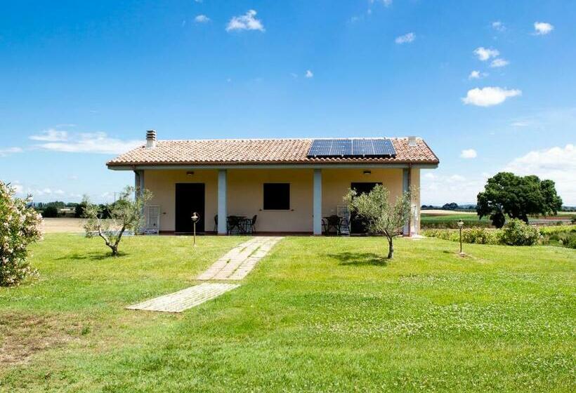 酒店 Podere Giovanni Olivo