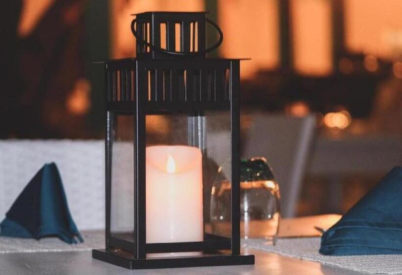 בית מלון כפרי The Bay