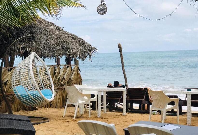 בית מלון כפרי The Bay