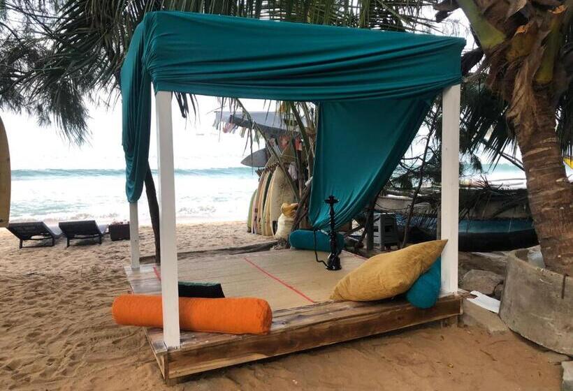 בית מלון כפרי The Bay