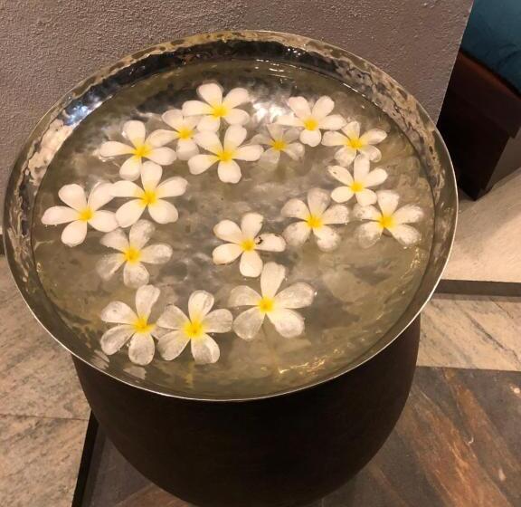 בית מלון כפרי The Bay